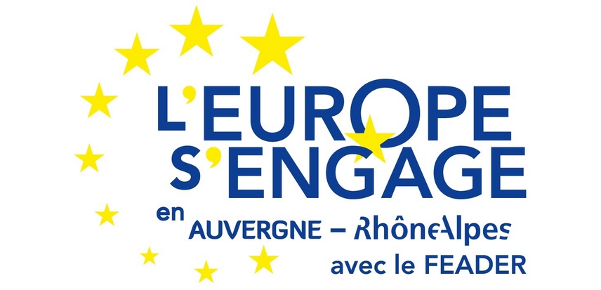 Logo_Europe.jpg
